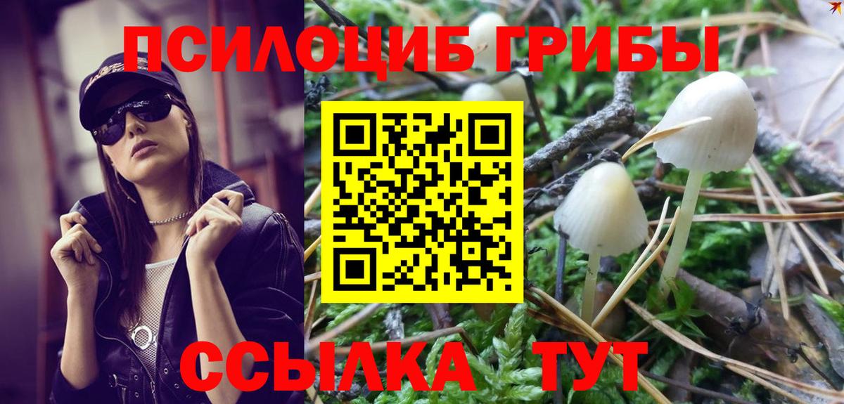 Галлюциногенные грибы прущие грибы  Вход с VPN  Всеволожск  Псилоцибиновые грибы мицелий 